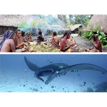 Rondreis 16 dagen Avontuurlijk Papua - Baliem vallei en duiken bij Raja Ampat