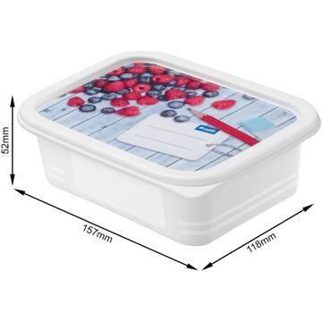 Rotho Diepvriesdozenset 4-delig 0,5L wit