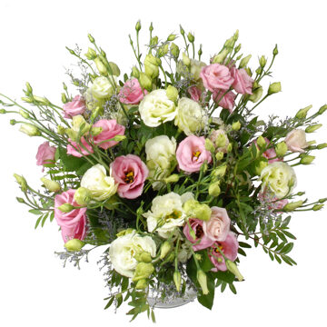Roze en witte eustoma bloemen