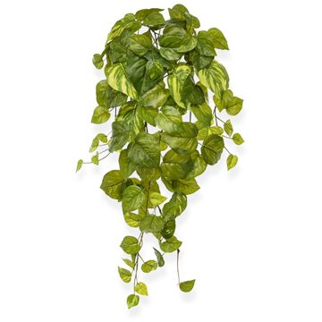Scindapsus Pothos Hangplant 55 cm - Kunstplant