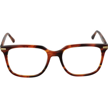 Scotch & Soda Optisch montuur SS4025 107 55 Bruin