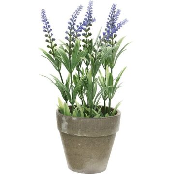 Shoppartners Groene/paarse Lavandula/lavendel kunstplant 25 cm in beton pot