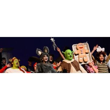 shrek de musical