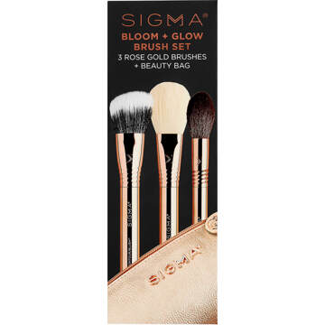 Sigma Bloom + Glow Brush Set