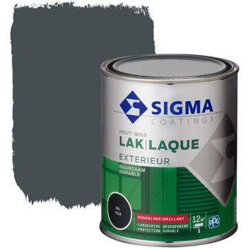 Sigma Exterieur Lak Ral7016 Hoogglans 750 Ml