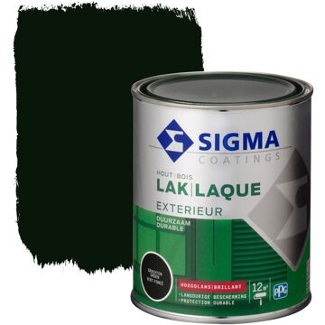 Sigma Exterieur Lak Ral8603 Grachtengroen Hoogglans 750ml