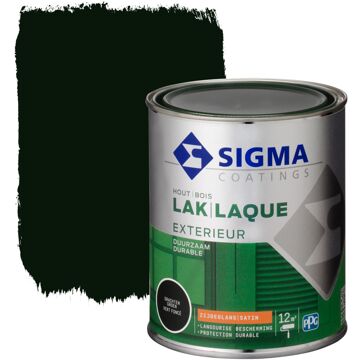 Sigma Exterieur Lak Ral8603 Grachtengroen Zijdeglans 750ml
