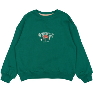 The New jongens sweater Groen - 98-104