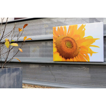 Tuinposter op 4cm frame 30x140 cm
