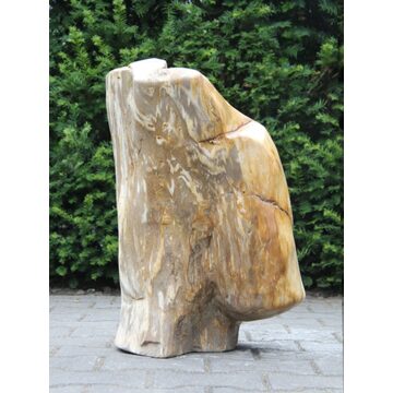 Versteend hout VH-13