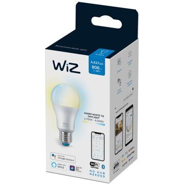 WiZ Lamp E27 60 W Mat